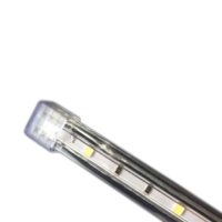 Đèn led dây Osram Ledvalue HO FLex 6w/830 220V VS1 CN LEDV